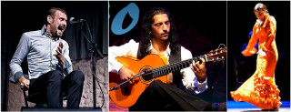 flamenco-trio