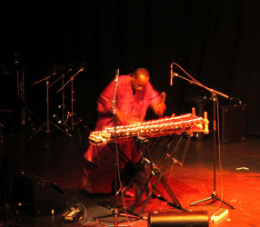 balafon-player