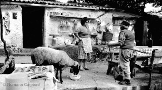 Carrara, 1982. Shepard and his wife
