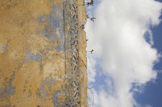 foto-covericp141