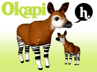 okapi3jpg