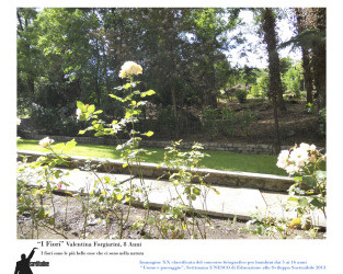 20 -  "I fiori"  di Valentina Forgiarini