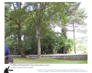 26 - "L'albero di Giancarlo"  di Giancarlo Carboni