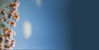 icp2015bg