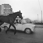 06_FRANCESCO CITO©1985_02_28 Napoli_The horse in tow